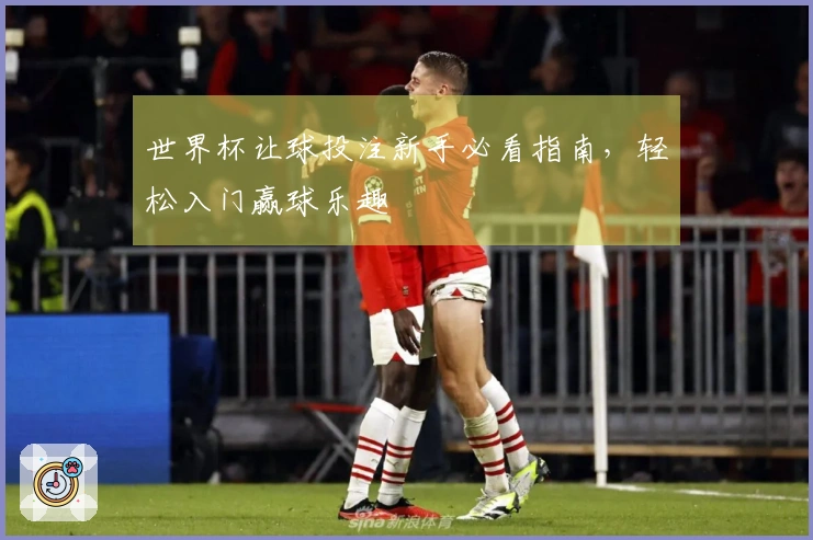 世界杯让球投注新手必看指南，轻松入门赢球乐趣