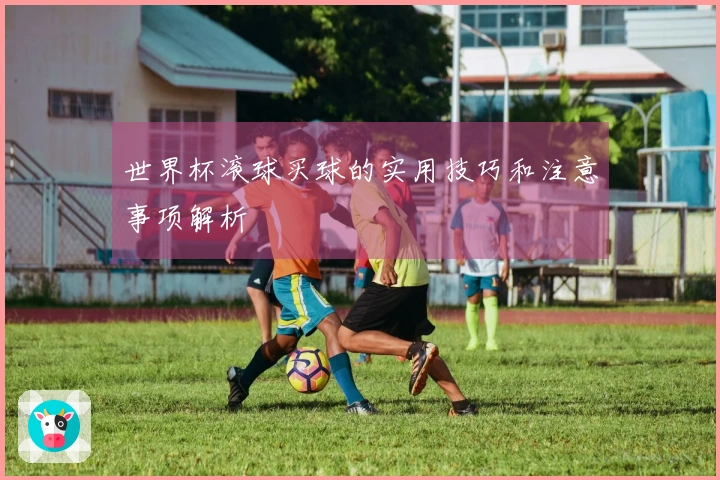 世界杯滚球买球的实用技巧和注意事项解析
