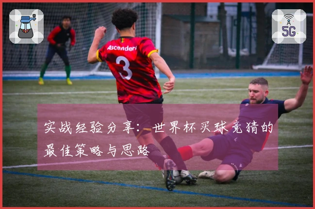 实战经验分享：世界杯买球竞猜的最佳策略与思路