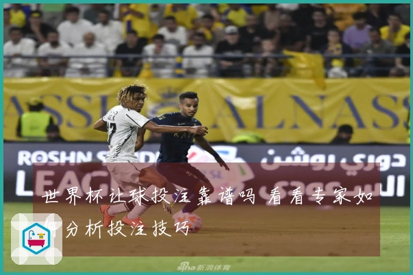 世界杯让球投注靠谱吗 看看专家如何分析投注技巧