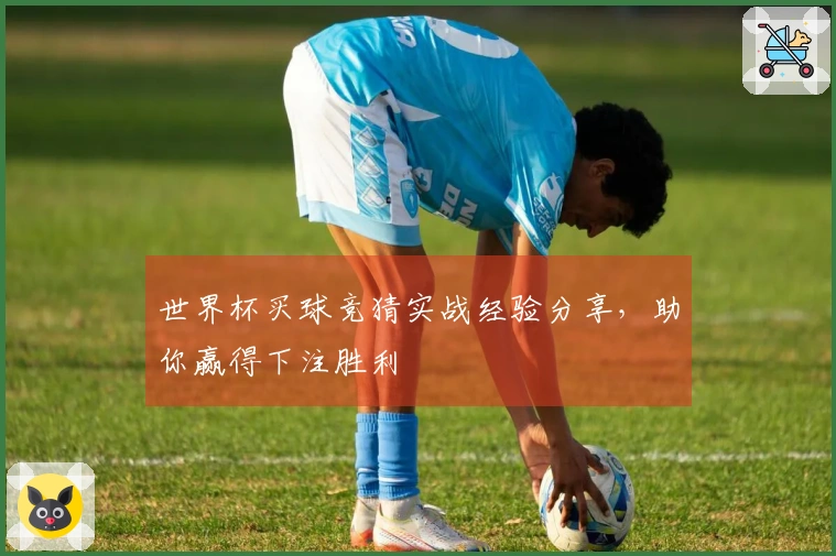 世界杯买球竞猜实战经验分享，助你赢得下注胜利