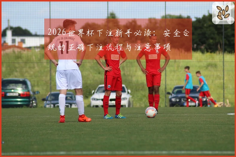 2026世界杯下注新手必读：安全合规的正确下注流程与注意事项