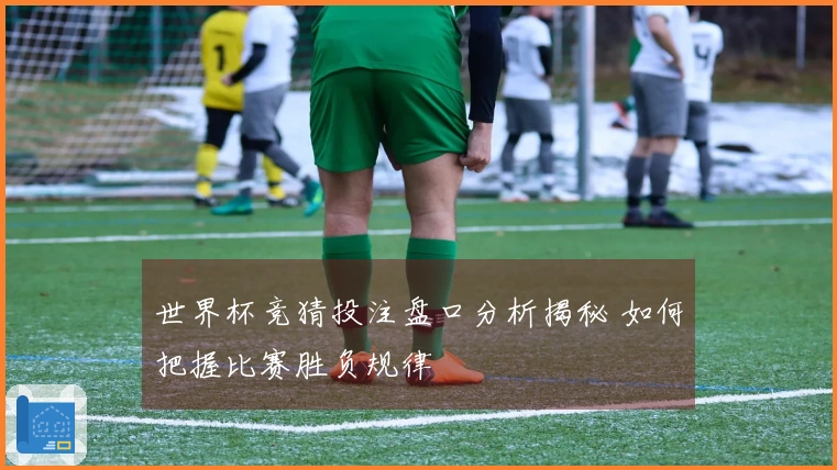 世界杯竞猜投注盘口分析揭秘 如何把握比赛胜负规律