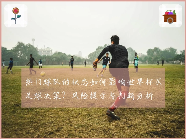 热门球队的状态如何影响世界杯买足球决策？风险提示与判断分析