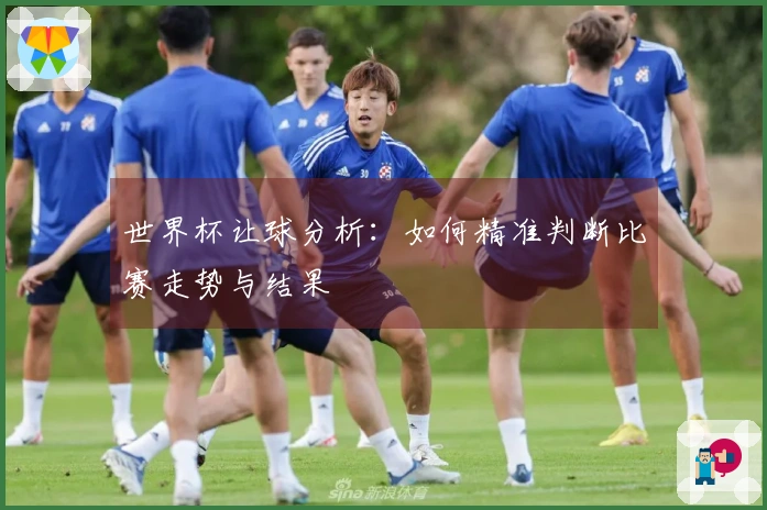 世界杯让球分析：如何精准判断比赛走势与结果