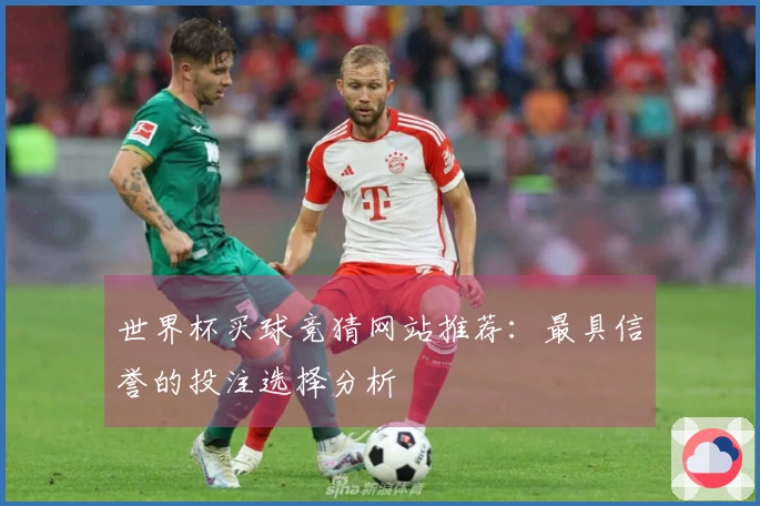 世界杯买球竞猜网站推荐：最具信誉的投注选择分析