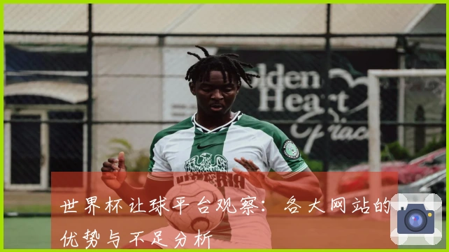 世界杯让球平台观察：各大网站的优势与不足分析