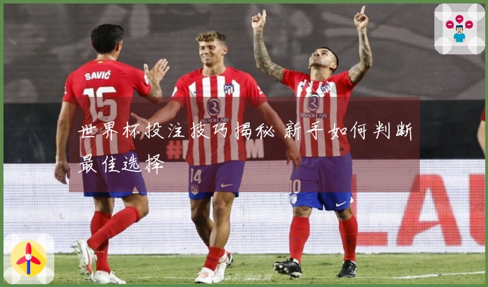 世界杯投注技巧揭秘 新手如何判断最佳选择
