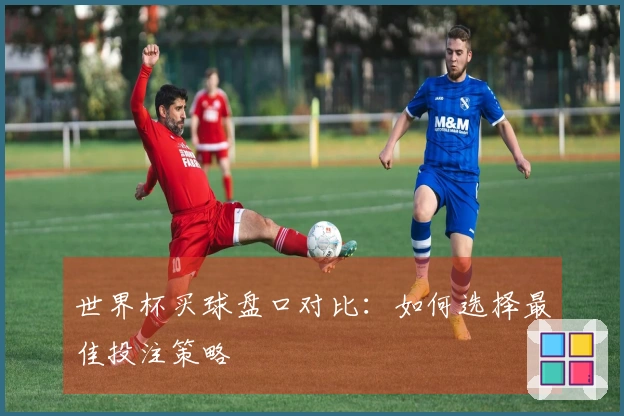 世界杯买球盘口对比：如何选择最佳投注策略