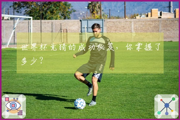 世界杯竞猜的成功秘笈，你掌握了多少？