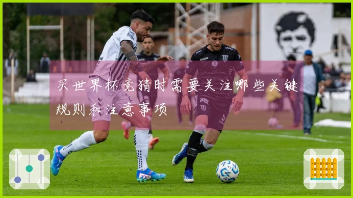 买世界杯竞猜时需要关注哪些关键规则和注意事项