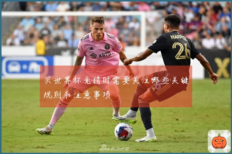 买世界杯竞猜时需要关注哪些关键规则和注意事项