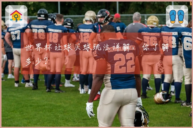 世界杯让球买球玩法详解，你了解多少？