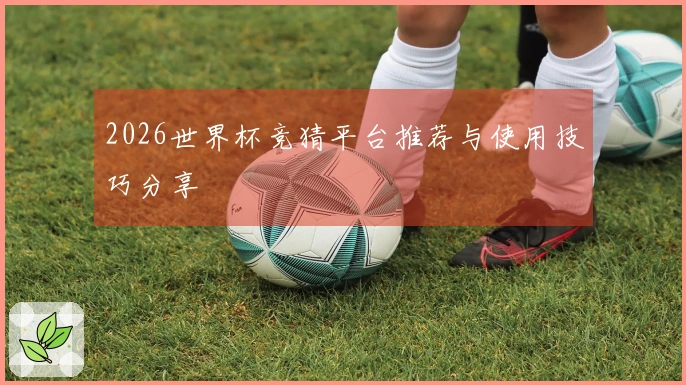 2026世界杯竞猜平台推荐与使用技巧分享