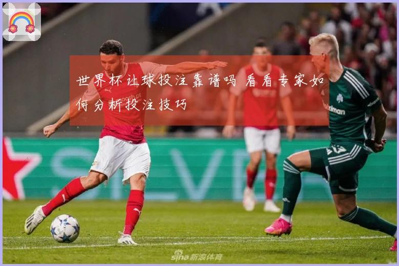 世界杯让球投注靠谱吗 看看专家如何分析投注技巧